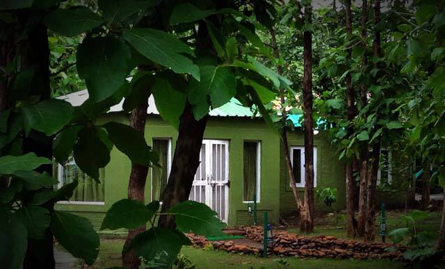 Ratapani Jungle Lodge, Sehore 5